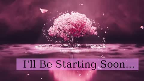 Daphne Sophia Vega online show from April 2026 03:22:02 PM