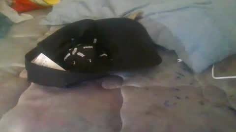 diamondeye112 online show from December 2025 05:05:01 AM