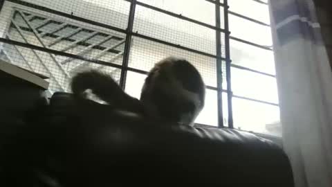 Snapshot of dickeduardo chatting on March 2026 10:32:01 PM dickeduardo online show from March 2026 10:32:01 PM