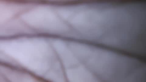 Dick balls online show from December 2024 07:47:01 PM