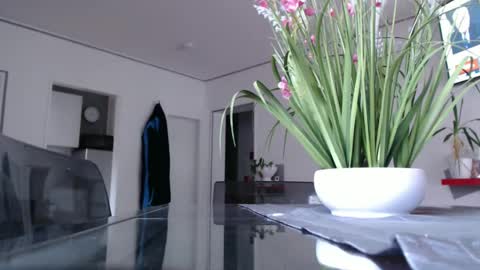 squirtcock online show from December 2024 02:39:01 PM