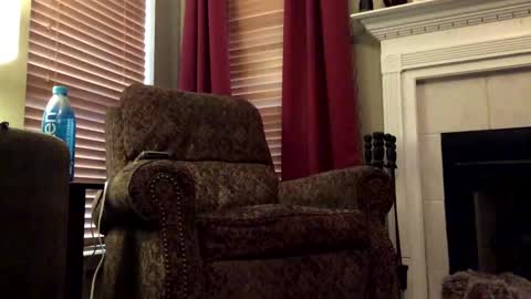 diegodavids online show from January 2025 03:55:02 PM