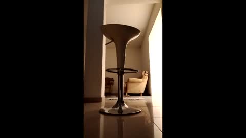 Diego online show from March 2026 11:10:02 PM