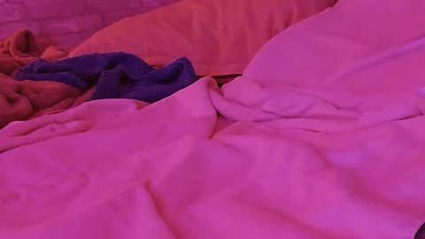 dildobandit online show from February 2026 12:03:01 PM