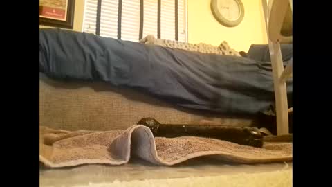 dildosnme22 online show from March 2025 06:45:01 PM