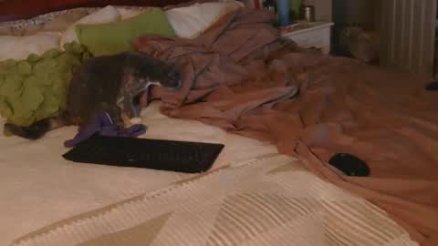 dildosnme22 online show from December 2025 09:15:02 AM