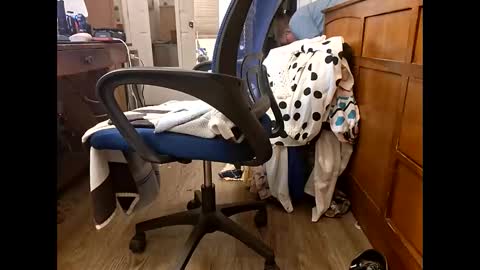 dildosnme22 online show from May 2026 09:47:01 AM