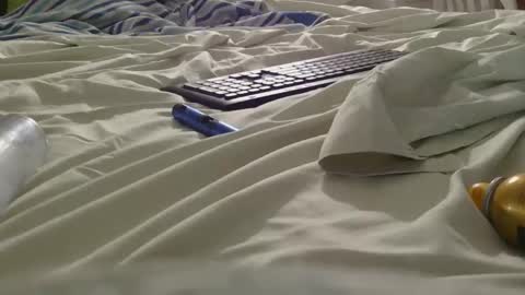 dildosnme22 online show from June 2026 09:15:01 AM