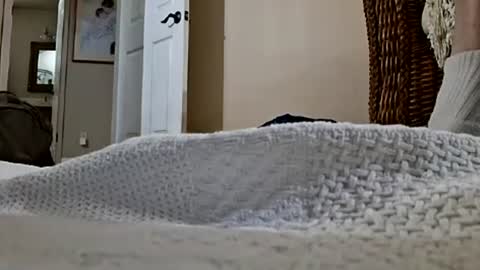 dildosnme22 online show from August 2026 10:52:02 PM