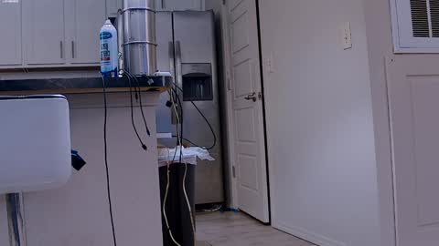 Dilldough405 online show from January 2025 06:07:01 PM