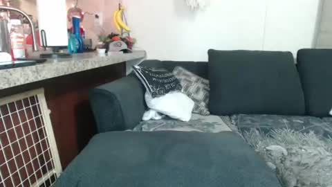 Sofie online show from December 2024 08:33:02 AM