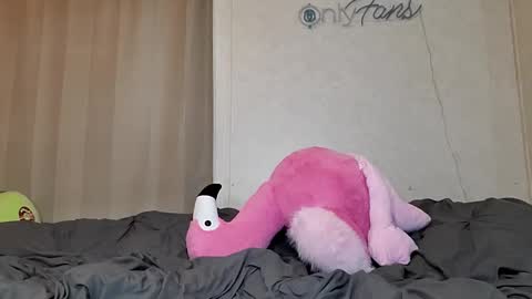 Sofie online show from February 2025 03:20:01 PM