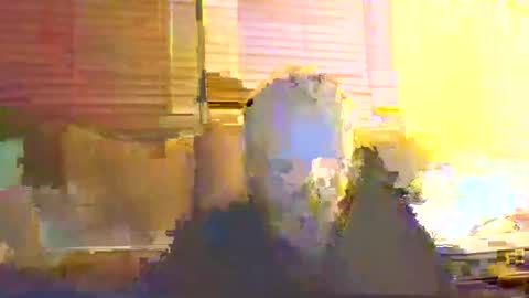 dingleberryjonesmagee online show from October 2025 10:26:02 PM