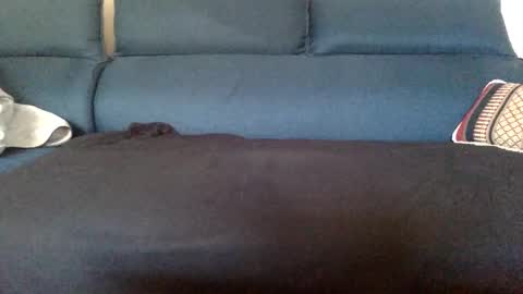 dinnerout1111 online show from February 2025 08:52:01 AM