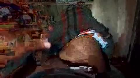 Snapshot of dino_7711 chatting on November 2025 02:10:01 AM dyno online show from November 2025 02:10:01 AM