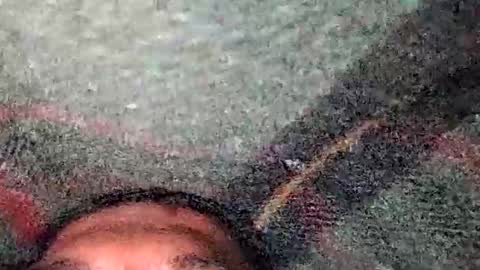 Snapshot of dino_7711 chatting on December 2025 05:31:02 PM dyno online show from December 2025 05:31:02 PM