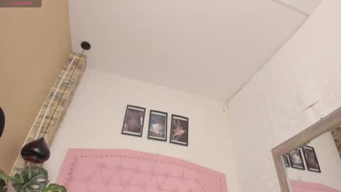 DIOSA online show from February 2025 03:10:02 AM