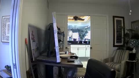 DirtkPitt Fun guy working online show from January 2025 04:37:02 PM