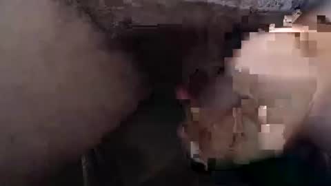 dirtyadventurer online show from February 2025 12:03:02 PM