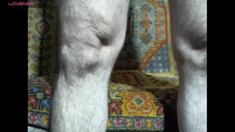   CARL online show from December 2024 10:17:01 AM