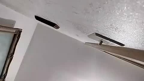 dixonbird41 online show from February 2025 02:46:01 AM