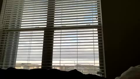 dj9469615 online show from March 2026 02:20:01 PM