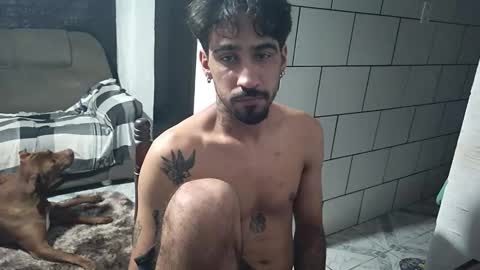 AmigodotadoZL online show from January 2026 02:17:01 AM