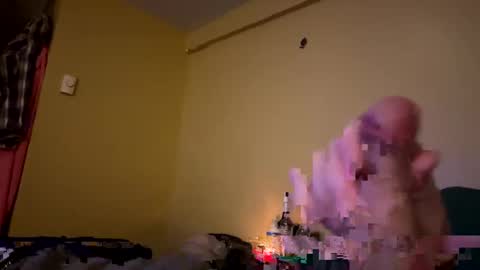 Snapshot of dnice69968127 chatting on January 2025 12:59:01 AM dnice69968127 online show from January 2025 12:59:01 AM