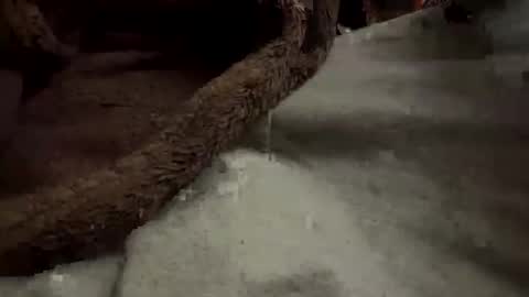 doingmek9 online show from February 2025 11:20:01 AM