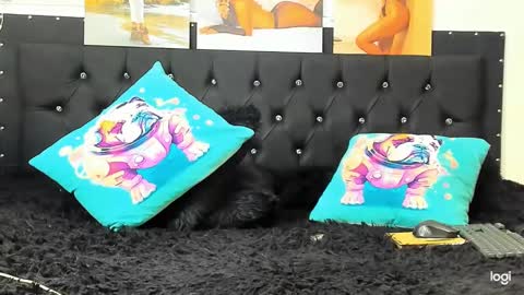 Snapshot of doll_celeste19 chatting on December 2024 04:06:01 PM C E L E S T E online show from December 2024 04:06:01 PM