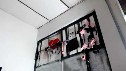 Snapshot of doll_sary chatting on January 2025 12:41:02 PM Catherine XXX online show from January 2025 12:41:02 PM