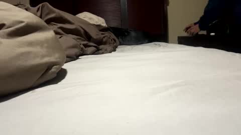 Snapshot of dolphin22356 chatting on January 2025 09:17:02 AM Ben Dover online show from January 2025 09:17:02 AM