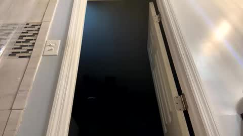 Snapshot of dolphin22356 chatting on February 2026 09:40:01 AM Ben Dover online show from February 2026 09:40:01 AM