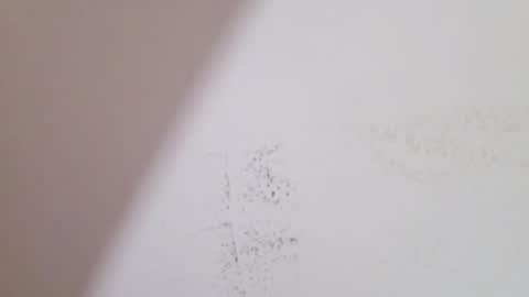 dolysex2026 online show from April 2026 12:06:01 PM