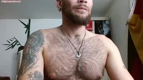 Logan - INDEPENDET MODEL online show from April 2026 08:09:02 PM