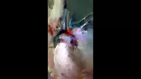 doogie215 online show from March 2026 12:50:01 AM