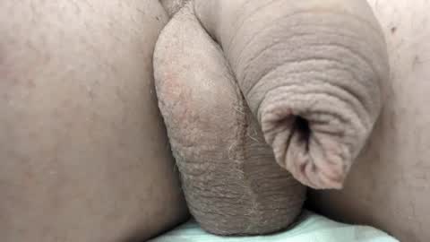 menu  below online show from February 2025 06:01:01 PM