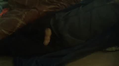 Hello  welcome to Slutsville  I am the Naked Chef  really  but you may call me Peter online show from February 2025 10:04:01 AM