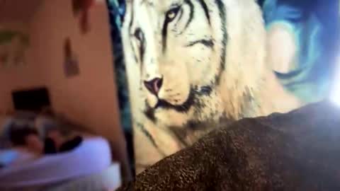 dove_love22 online show from November 2025 08:40:01 PM