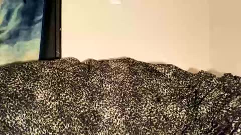 dove_love22 online show from November 2025 02:15:02 AM