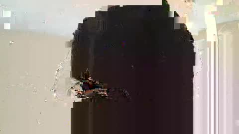 Snapshot of dreadstarr chatting on March 2025 11:10:02 AM Dread online show from March 2025 11:10:02 AM