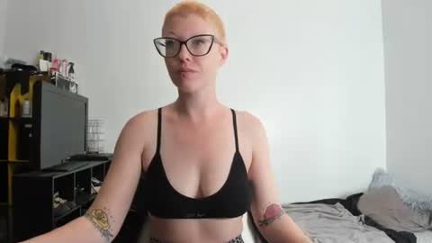 Snapshot of dreagentry chatting on October 2025 03:41:01 PM Your Majesty online show from October 2025 03:41:01 PM