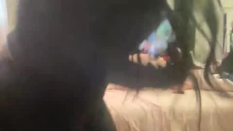 dreamtiffyxxx online show from January 2026 06:35:01 PM