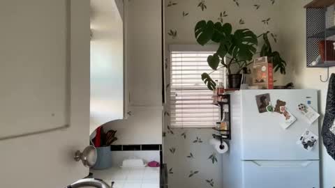 RIRI OR DREAMY online show from February 2025 05:22:01 PM