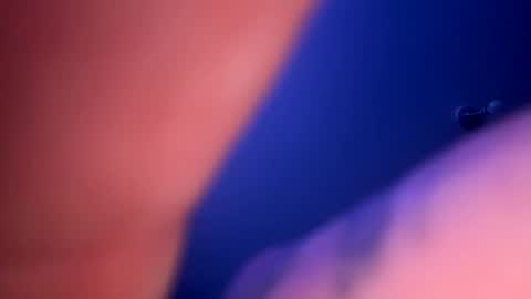 drippinggenie online show from January 2025 03:32:02 PM