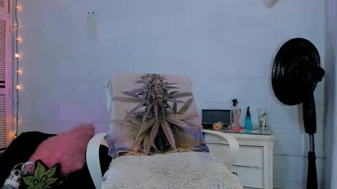 drippyorlove online show from April 2026 07:14:01 PM