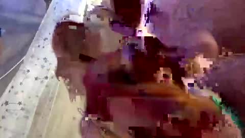 Snapshot of droppingloads82 chatting on February 2025 07:15:02 AM droppingloads82 online show from February 2025 07:15:02 AM