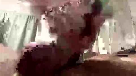 Snapshot of droppingloads82 chatting on March 2026 09:13:01 AM droppingloads82 online show from March 2026 09:13:01 AM