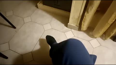 dthedog12 online show from March 2025 08:43:02 PM