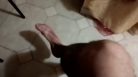 dthedog12 online show from September 2025 09:28:02 PM